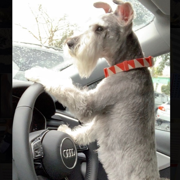 Omar - Picture 6 of 6